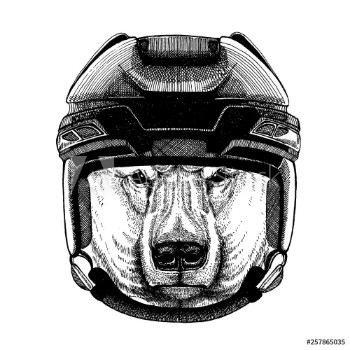 Picture of Bear polar bear animal wearing hockey helmet Hand drawn image of lion for tattoo t-shirt emblem badge logo patch